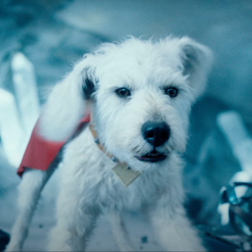 krypto • Arkn